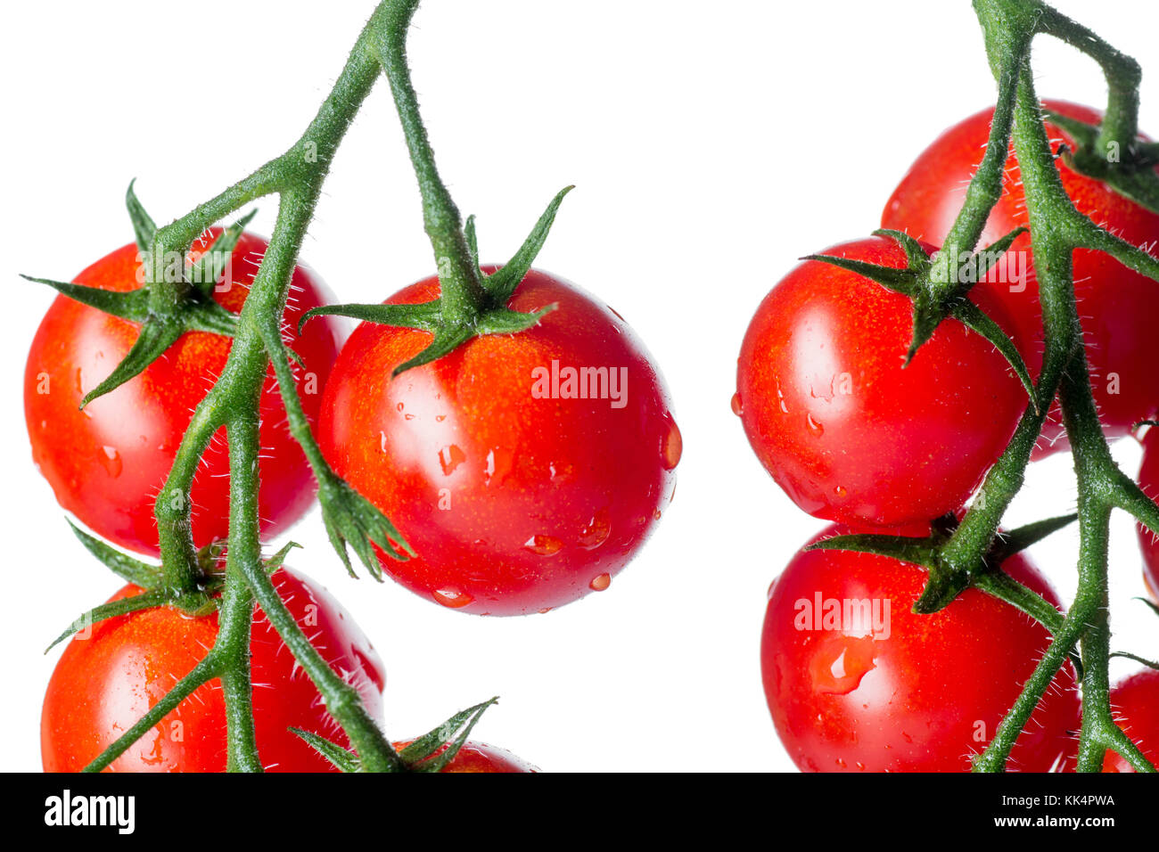 Fresh cherry tomatoes isolated over white background Stock Photo - Alamy