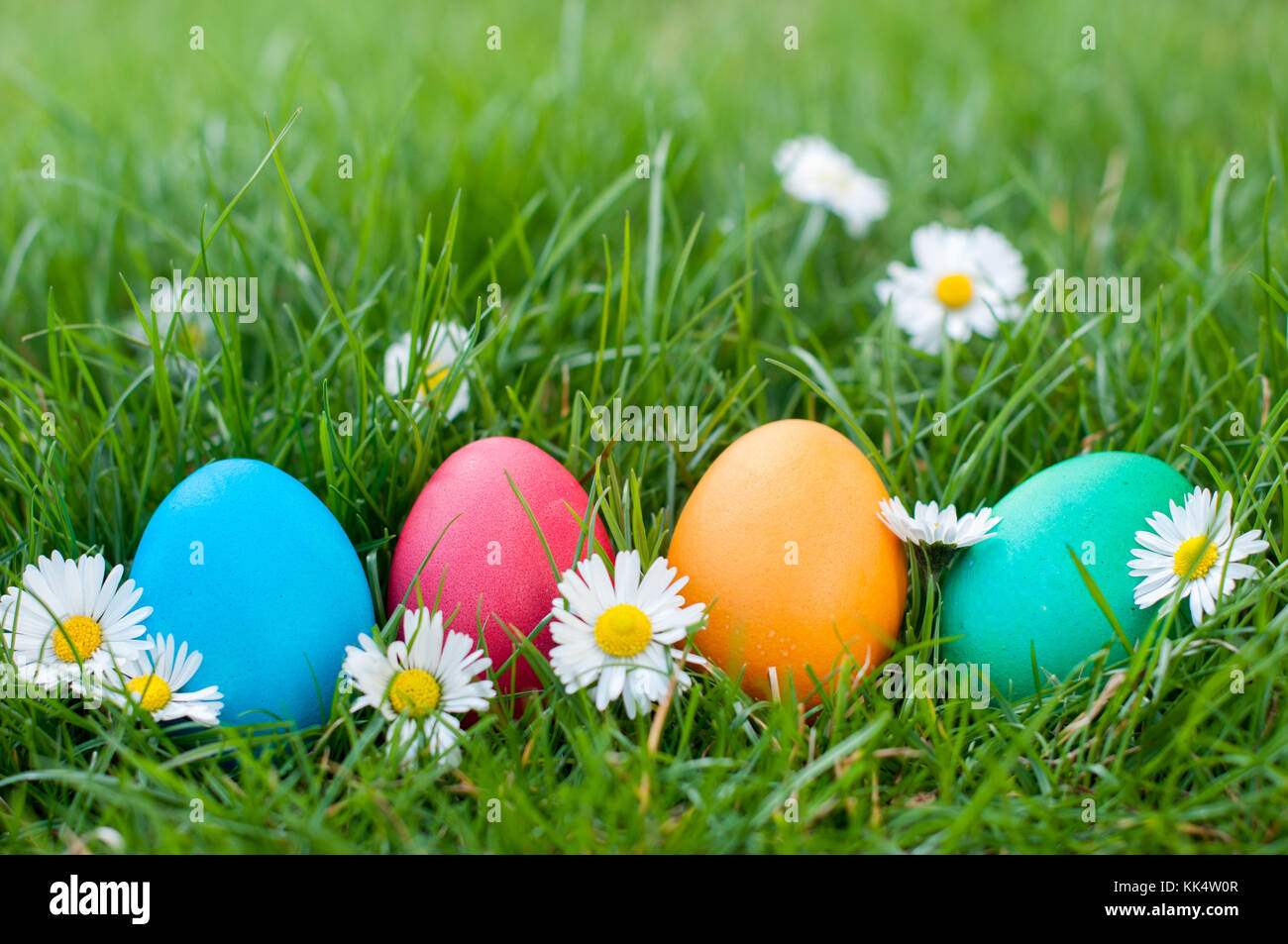 Four Easter eggs in a row ia a grass Stock Photo