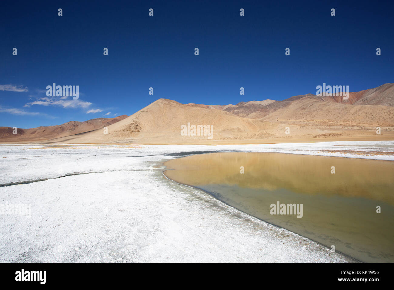 Yellow and orange colors in barren landscape and layers of salt on a clear autumn day at a fluctuating salt lake Tso Kar, Ladakh, India Stock Photo
