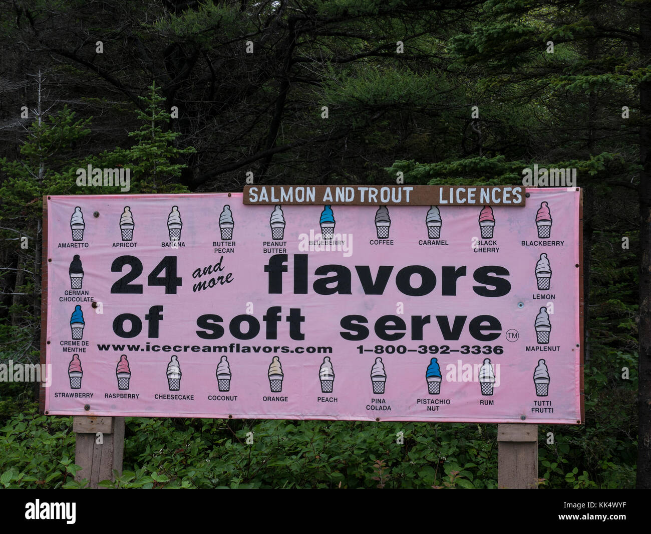 24 flavors of soft serve sign, River of Ponds Park and Campground, River of Ponds, Highway 430, the Viking Trail, Newfoundland, Canada. Stock Photo