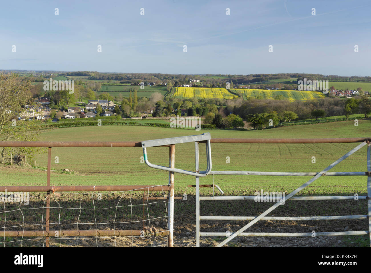 Closed gate at edge of crop field, farmland, looking towards Bardsey, East Rigton, West Yorkshire, England, April Stock Photo