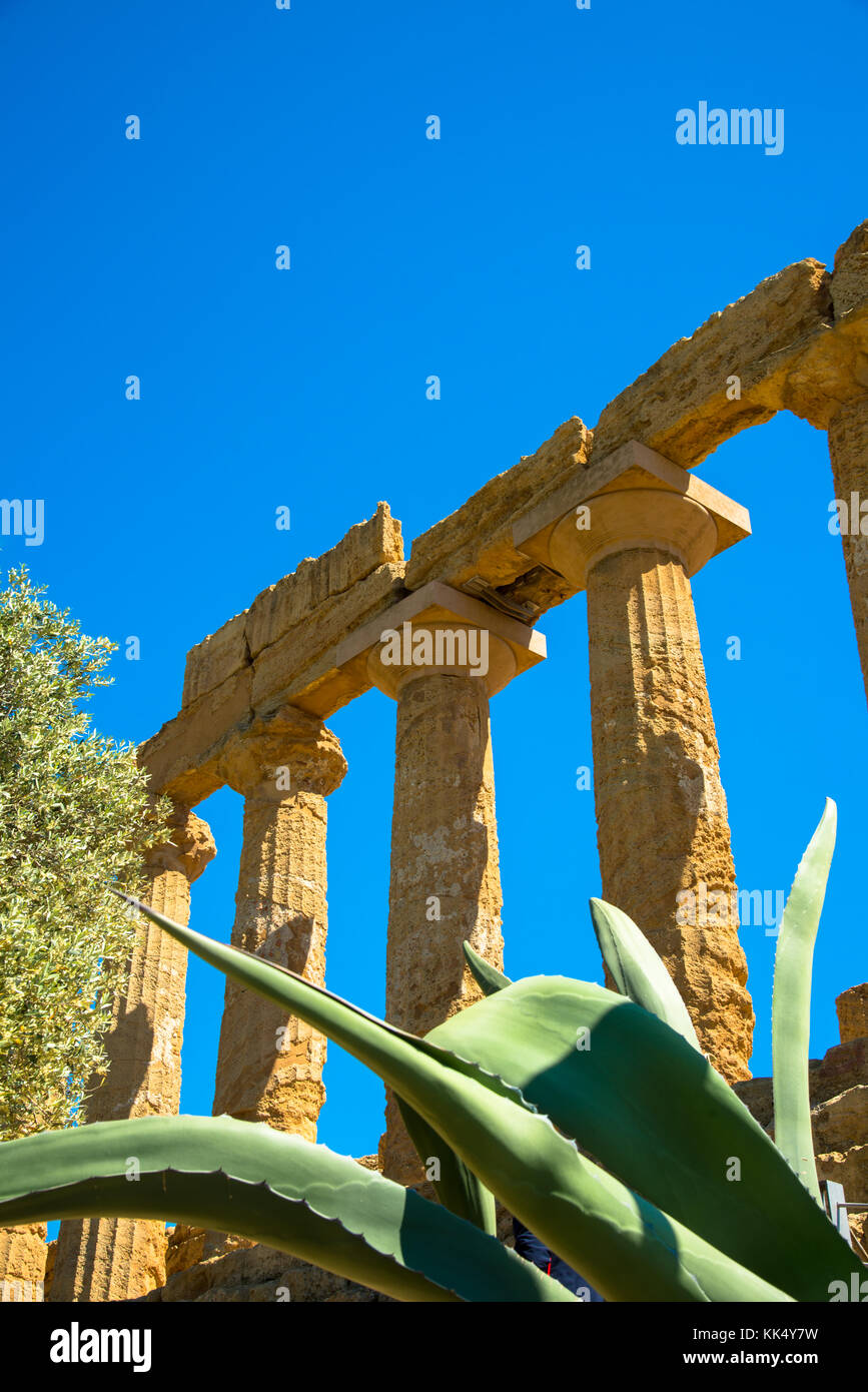 ruins of the temple of Juno at the Valley of the Temples at Agrigento, Sicily, Italy Stock Photo