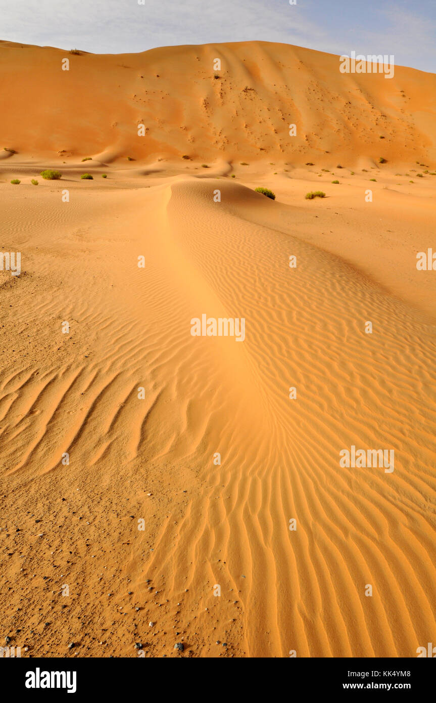 Wind-formed patterns in this collection of sand in the Arabian Desert ...