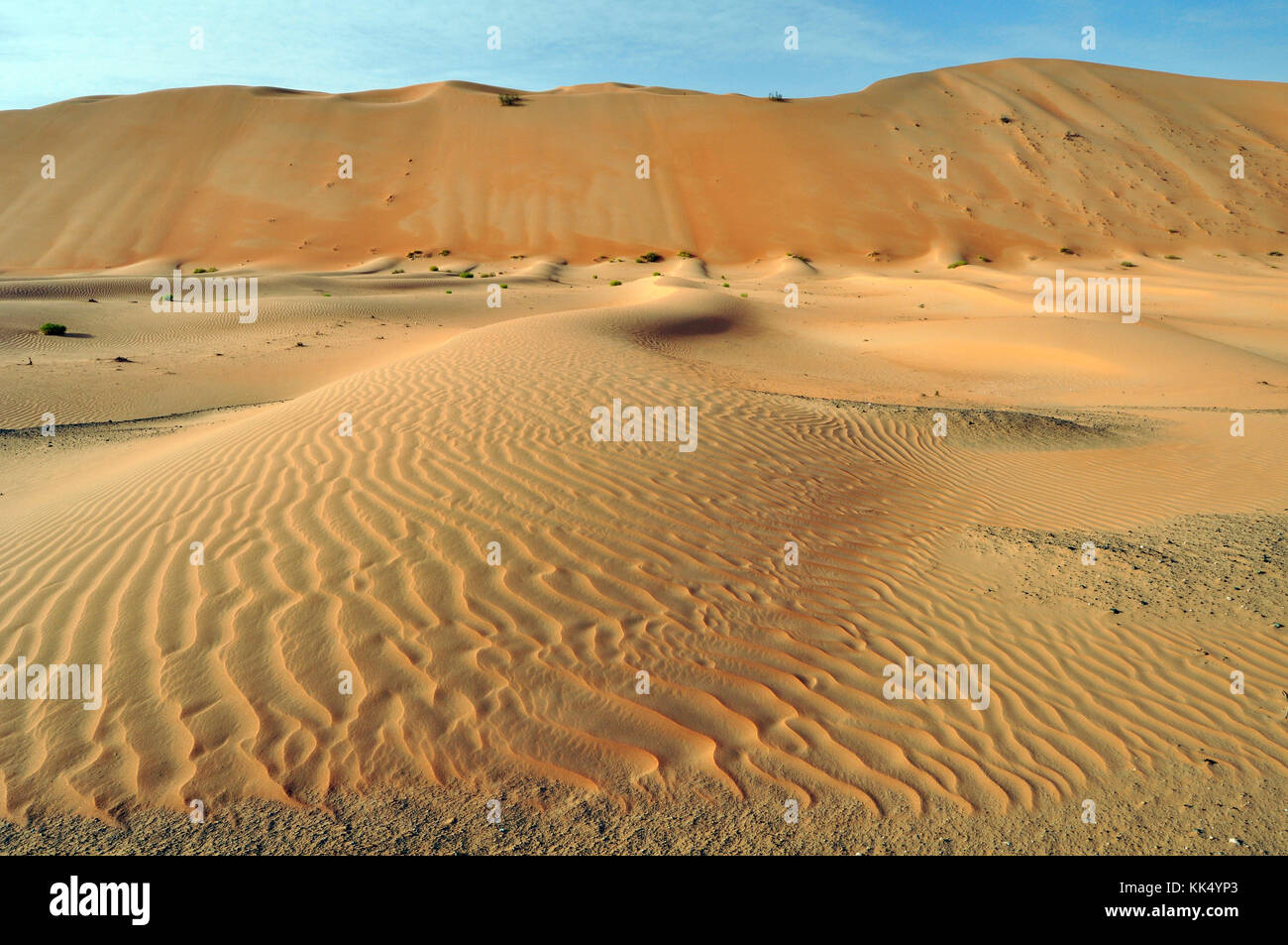 Wind-formed patterns in this collection of sand in the Arabian Desert ...