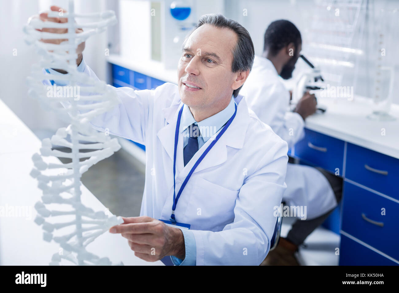 Nice serious scientist touching a DNA model Stock Photo