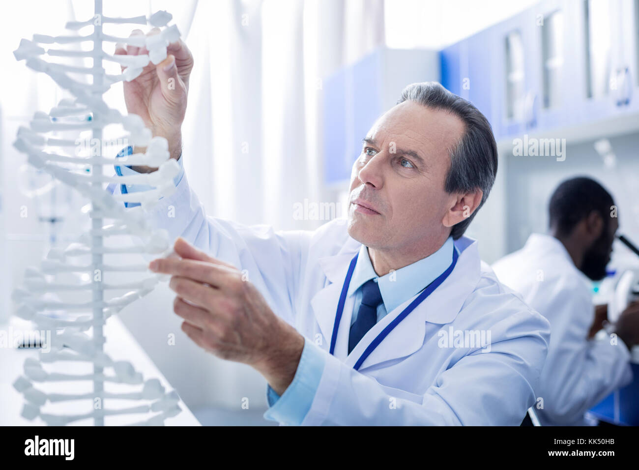 Smart male scientist studying genome Stock Photo
