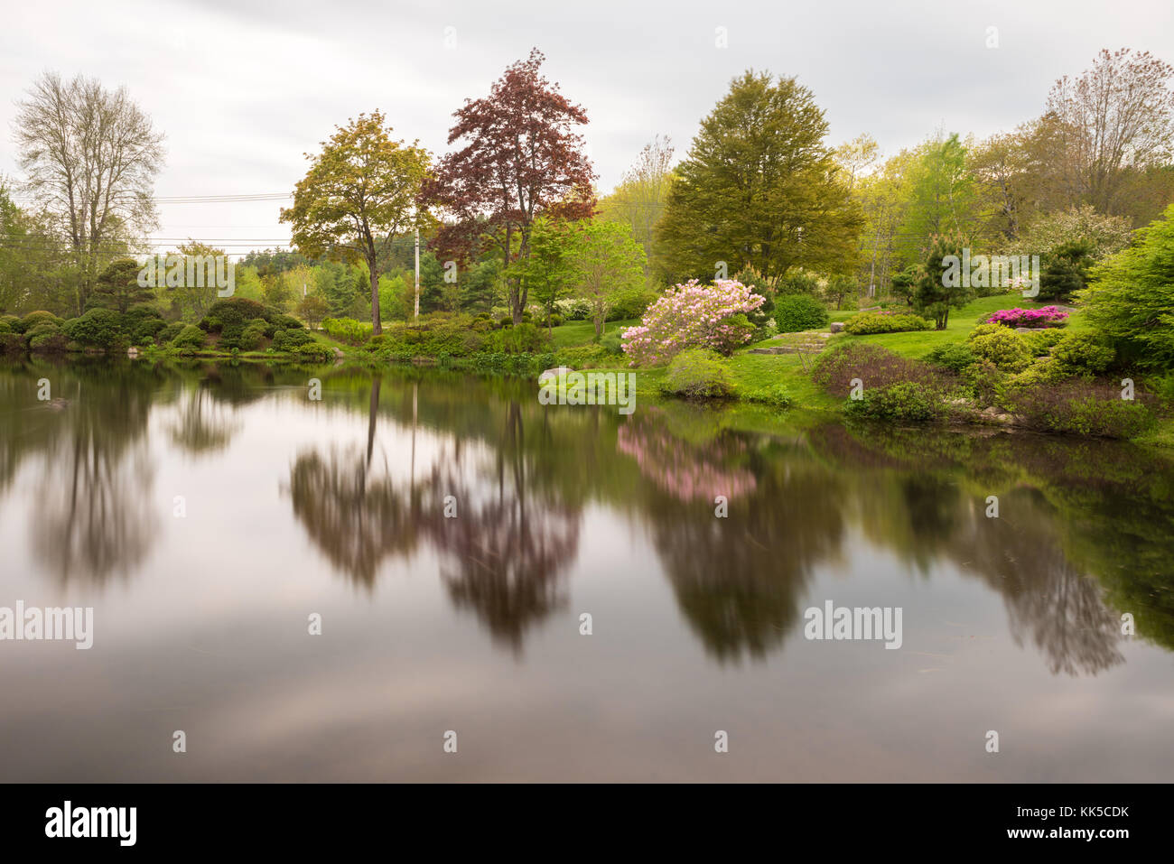 Asticou Azalea Gardens in the Japanese style in Mount Desert Island ...