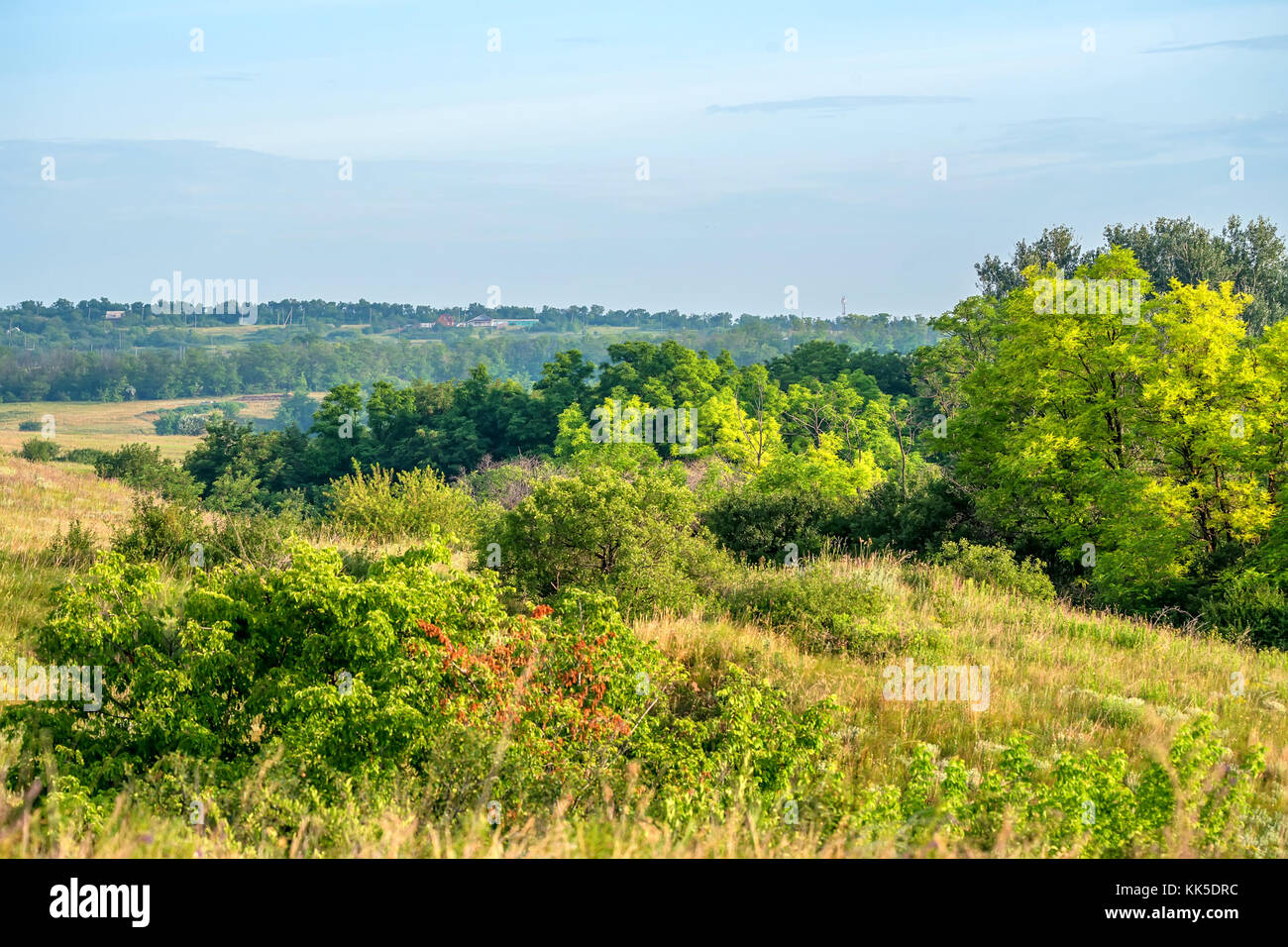 Beautiful rural summer landscape with trees Stock Photo - Alamy