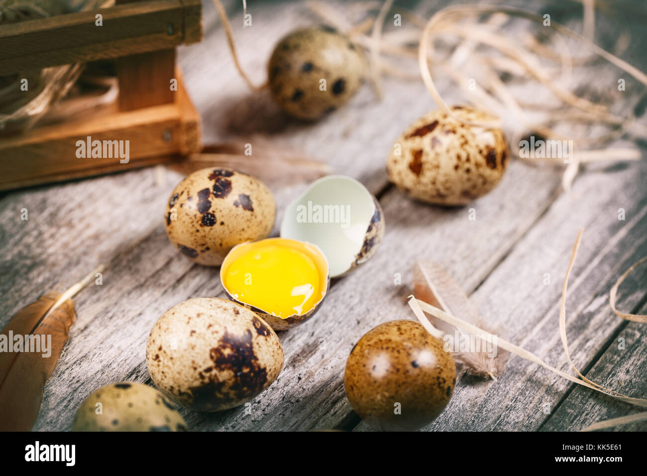 Fresh quail egg on rustic wooden background Stock Photo