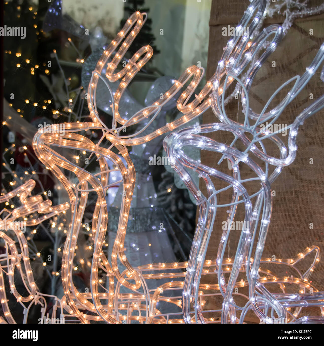 Holiday Lights Christmas deers. Stock Photo