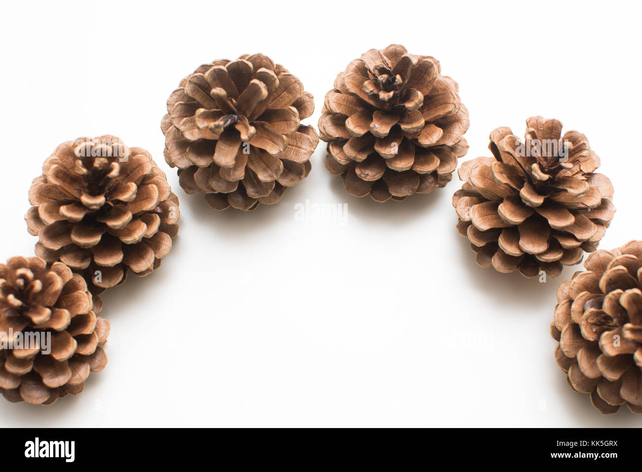 Pine cones isolated on white background Stock Photo - Alamy