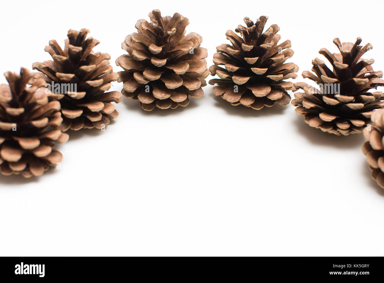 Pine cones isolated on white background Stock Photo - Alamy