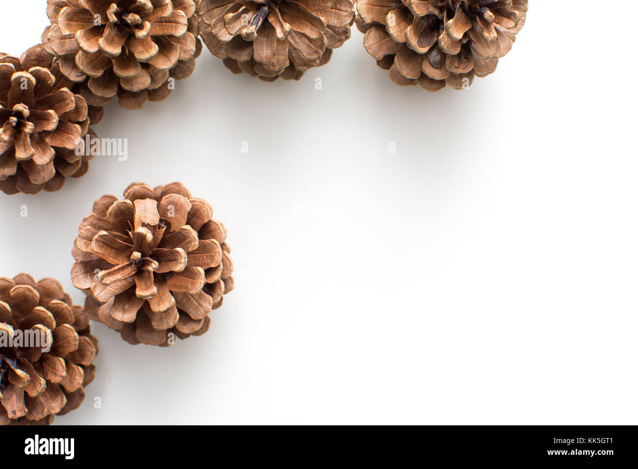 Pine cones isolated on white background Stock Photo - Alamy