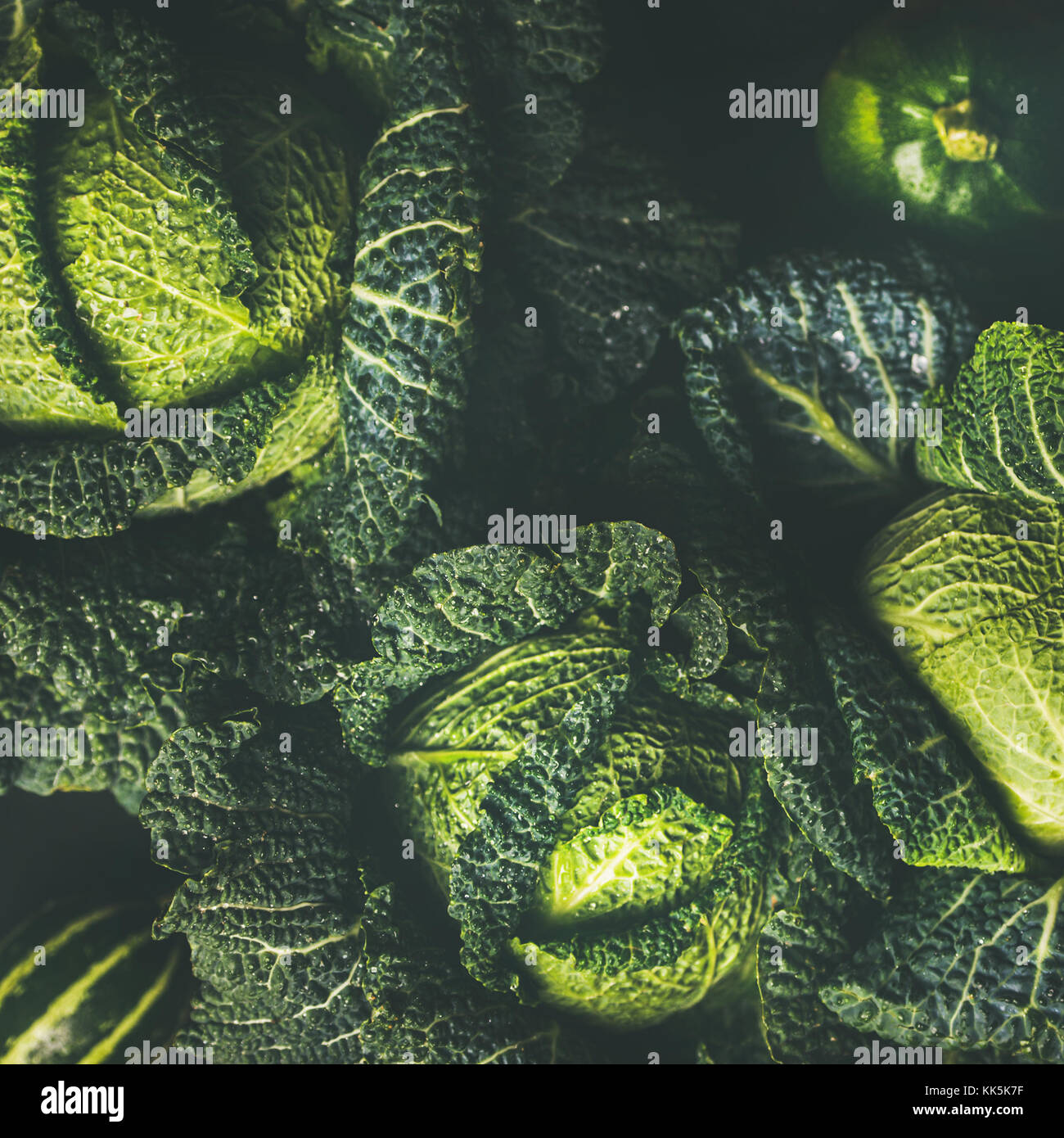 Raw fresh green cabbage texture and background, square crop Stock Photo