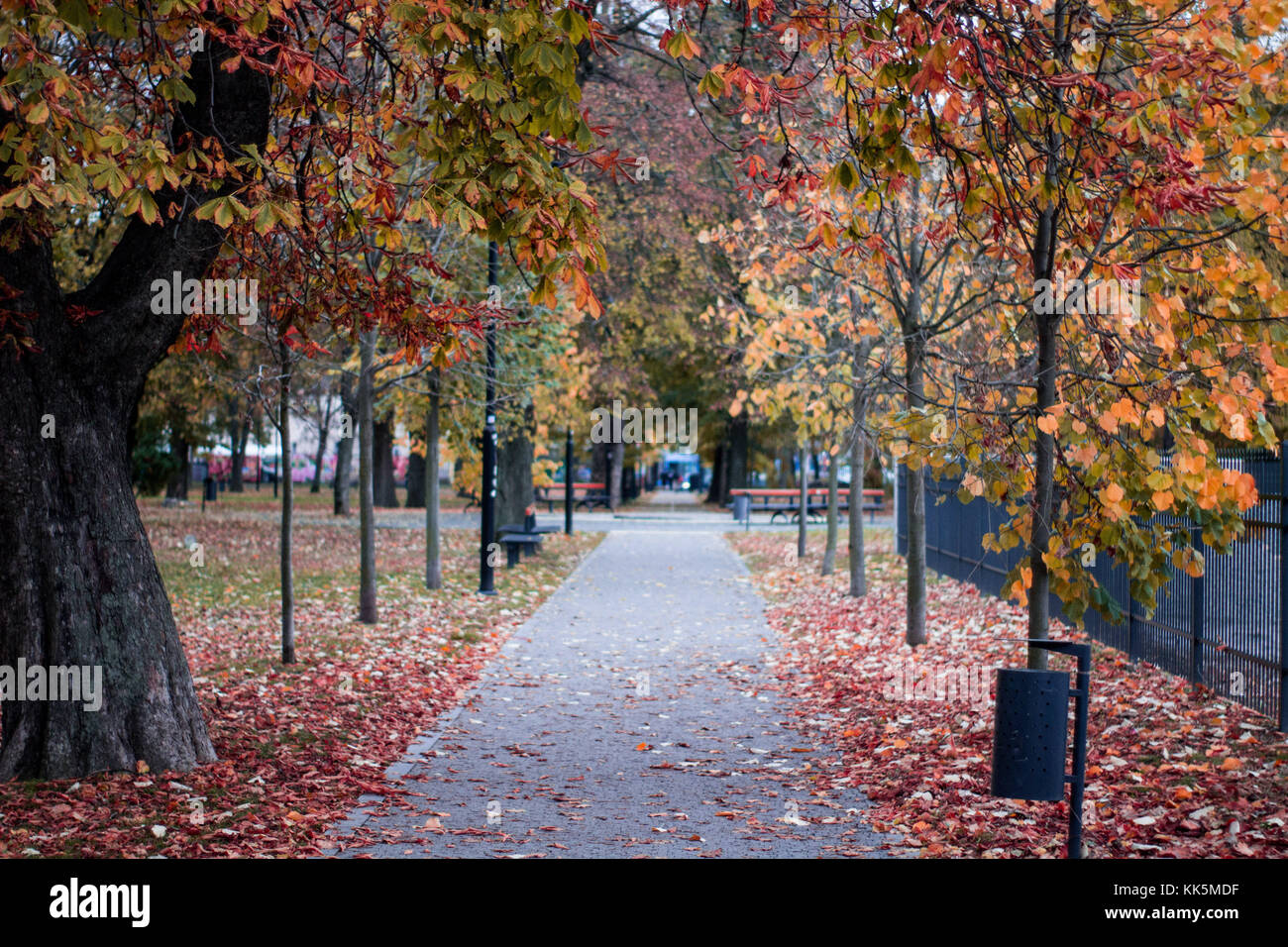 autumn scenery park peple walking at a park with leaves on the ground and white building Stock Photo
