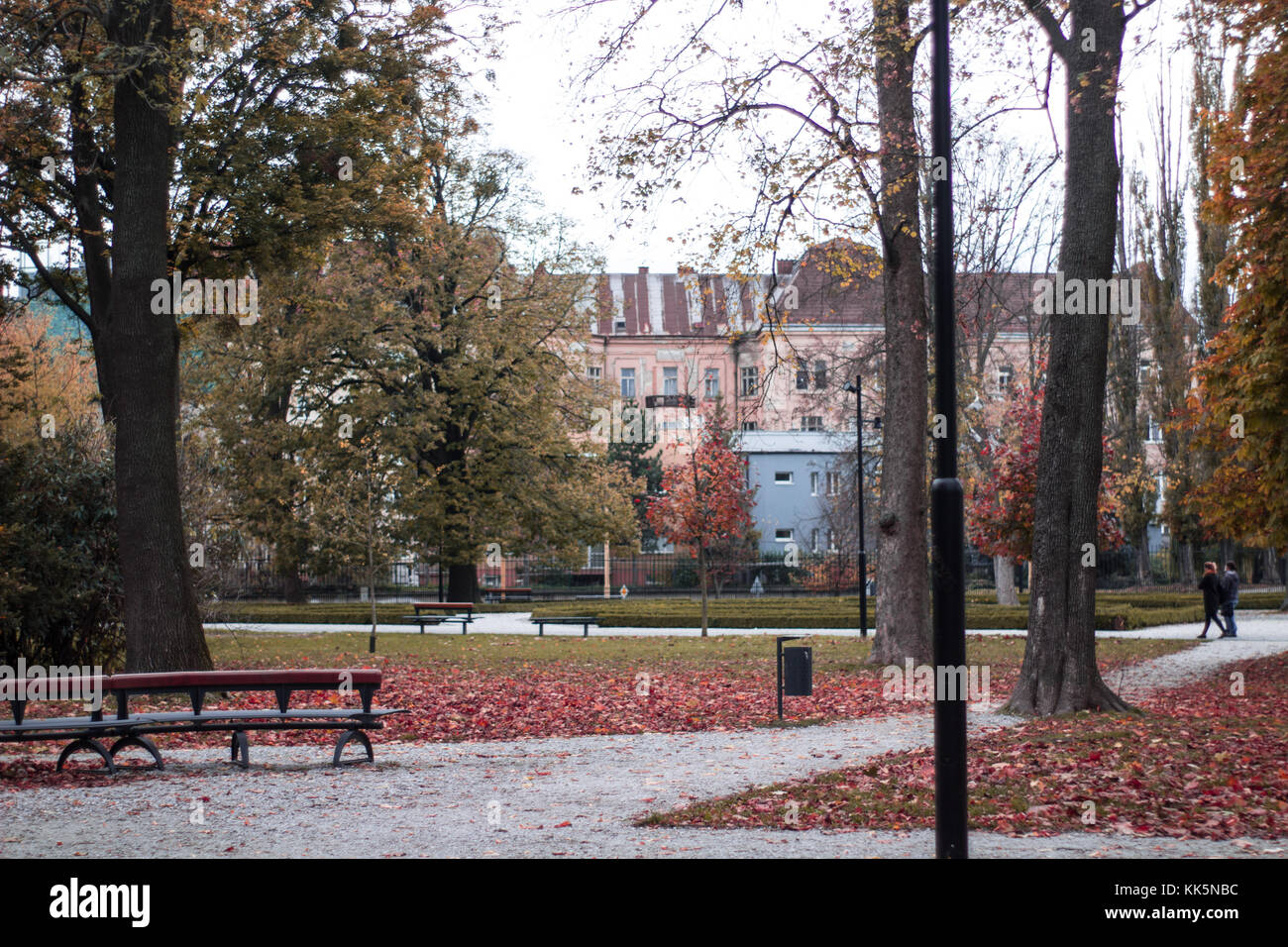 autumn scenery park peple walking at a park with leaves on the ground ...