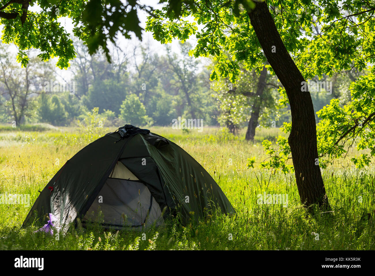 Tent in forest Stock Photo - Alamy