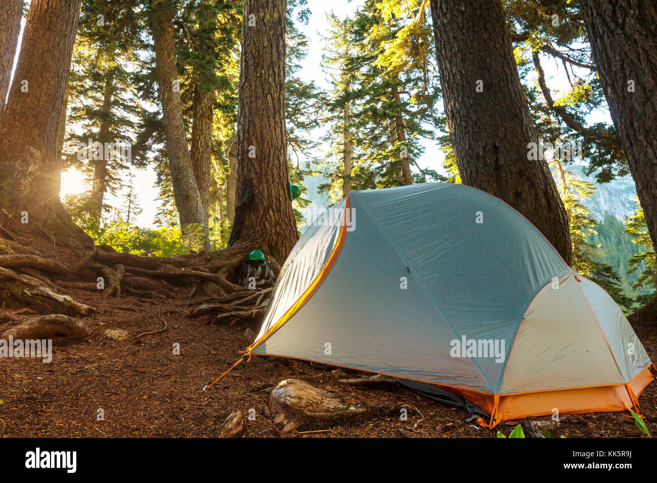 Tent in a forests campsite Stock Photo - Alamy
