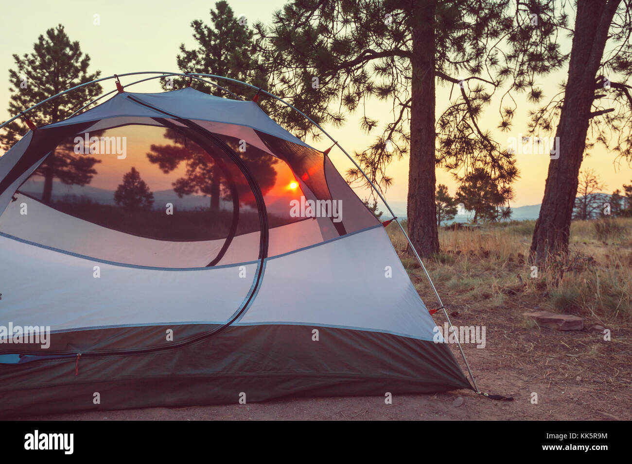 Tent in a forest campsite Stock Photo - Alamy