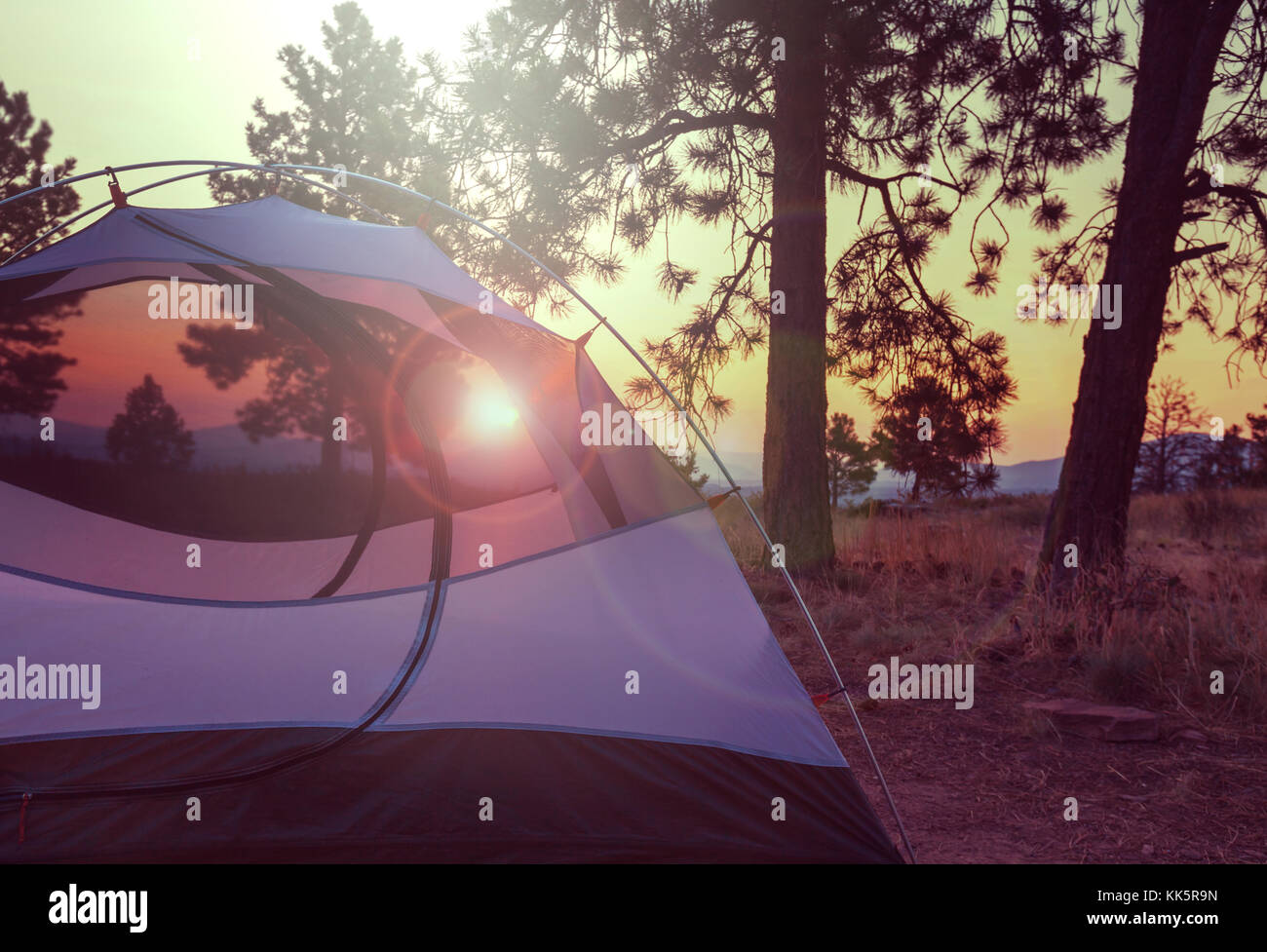 Tent in a forest campsite Stock Photo - Alamy