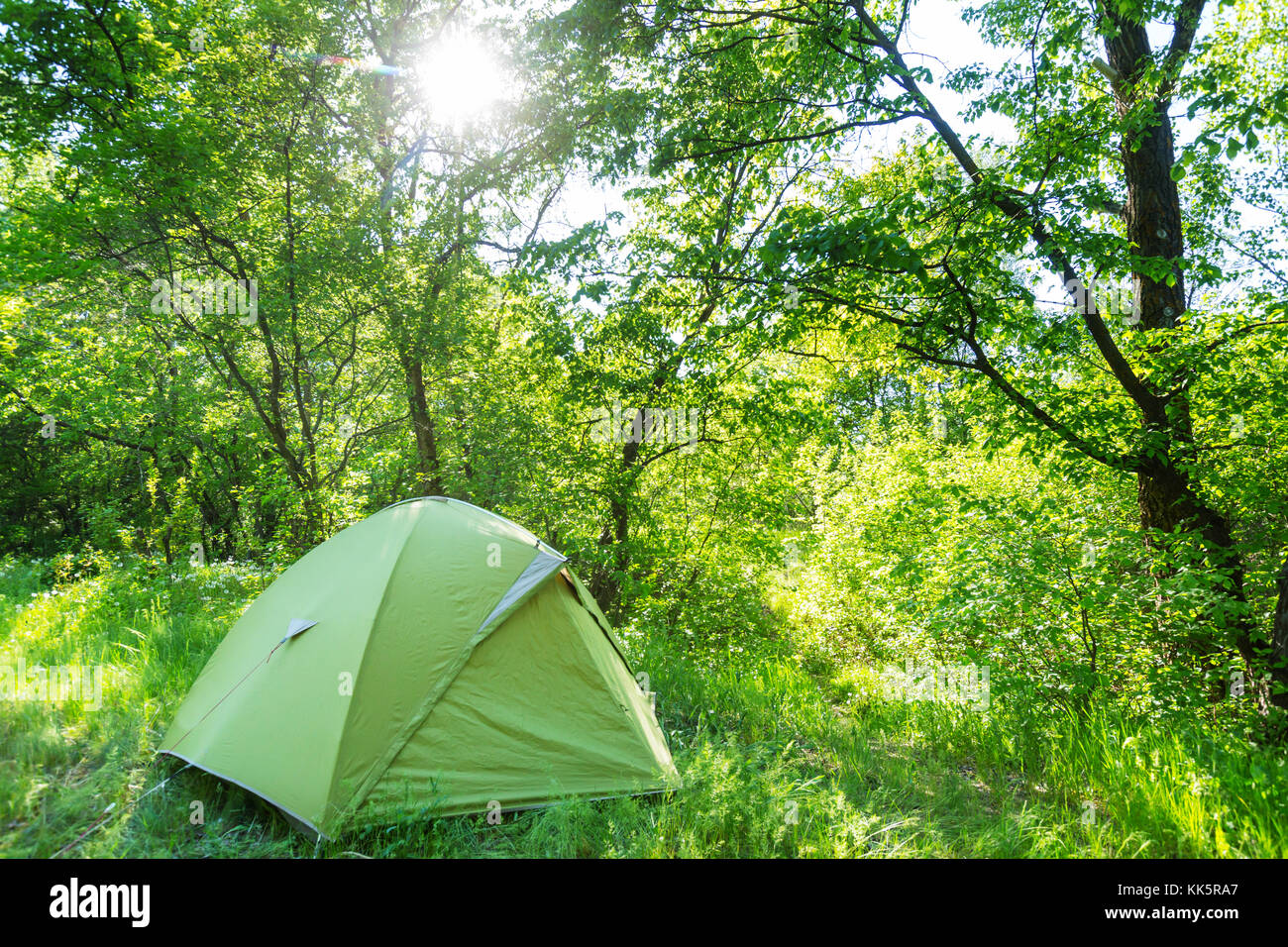 tent in the forest Stock Photo - Alamy
