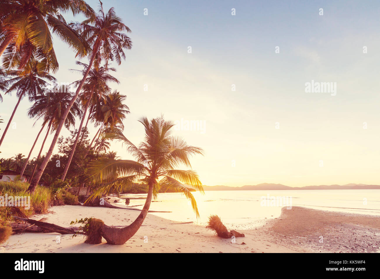 Serenity tropical beach Stock Photo - Alamy