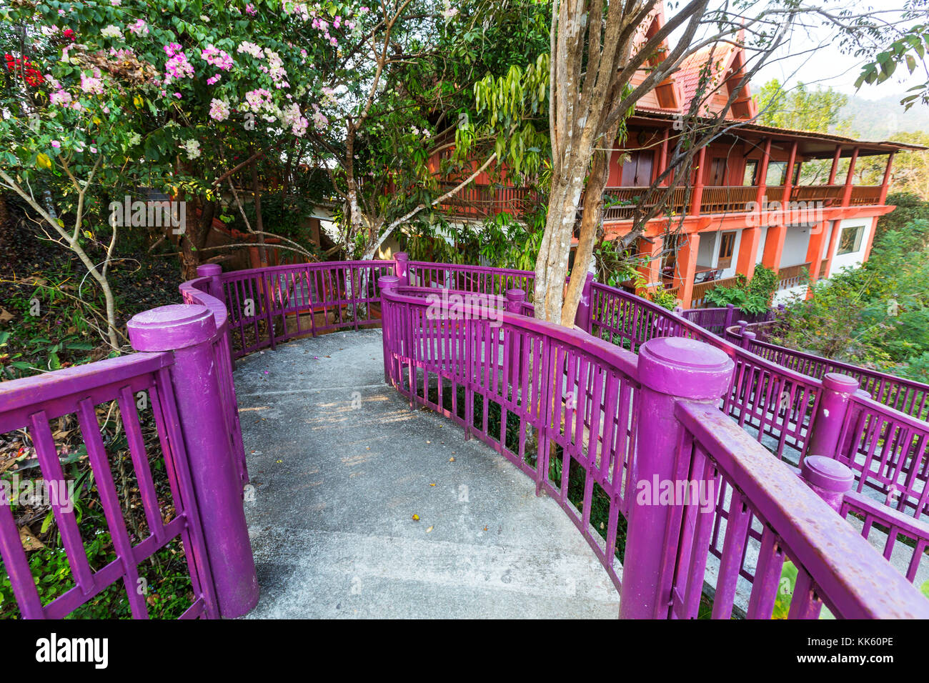 Walkway in tropical forest Stock Photo - Alamy