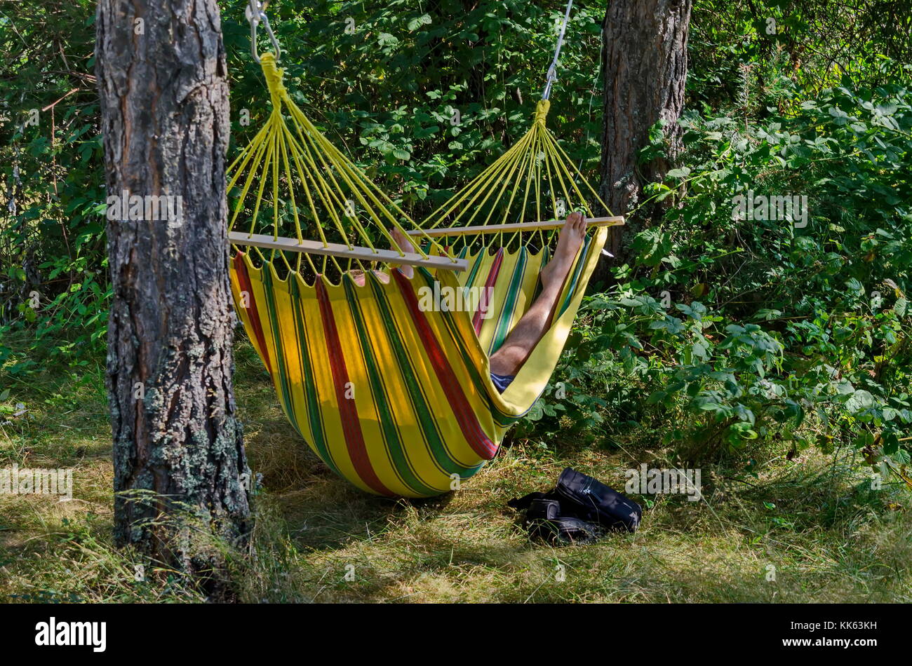 View of glade with hammock in the autumnal  forest,  Рила mountain, Bulgaria Stock Photo