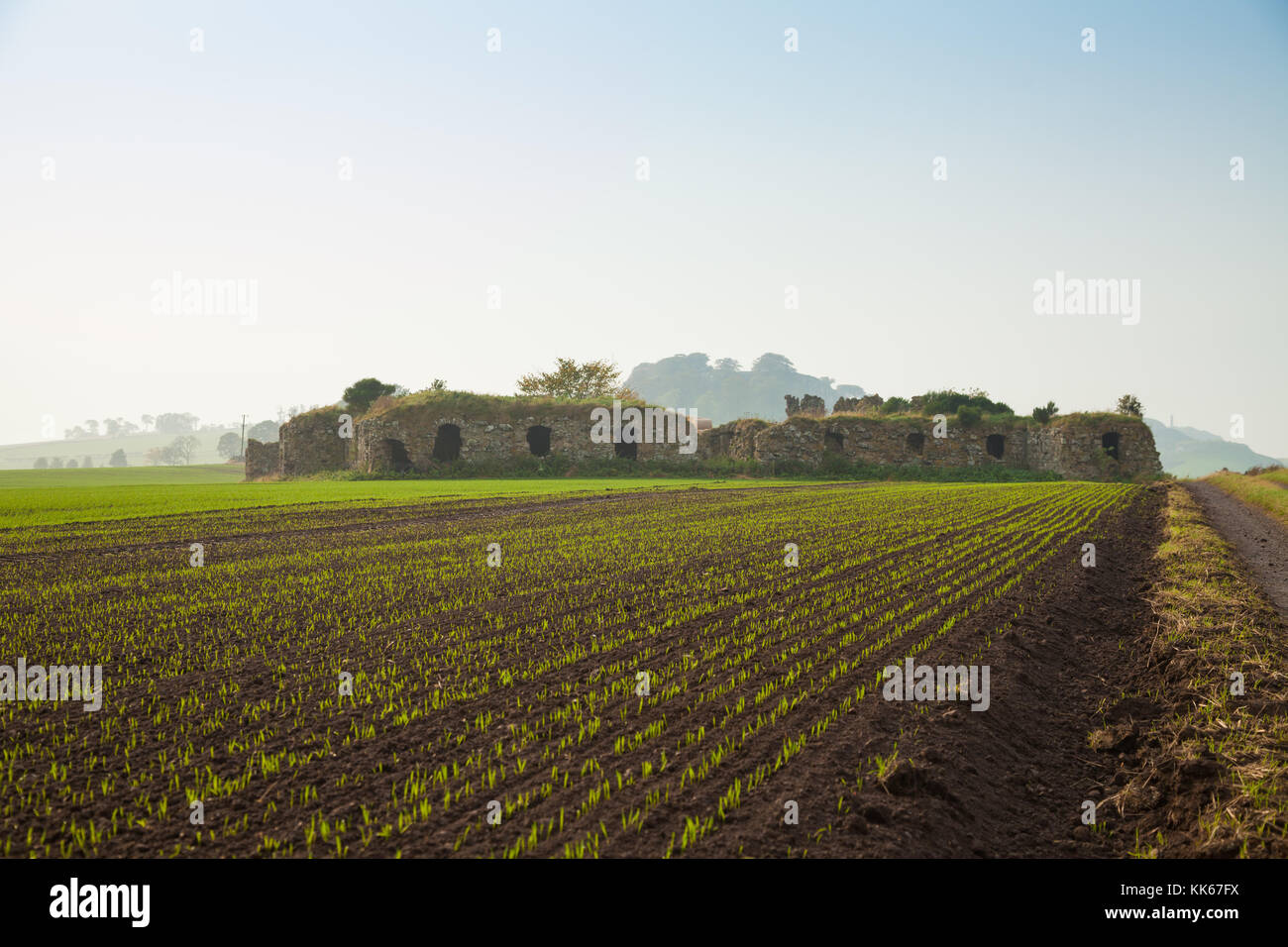 The Remains Of Barnes Castle Near Athelstaneford East Lothian