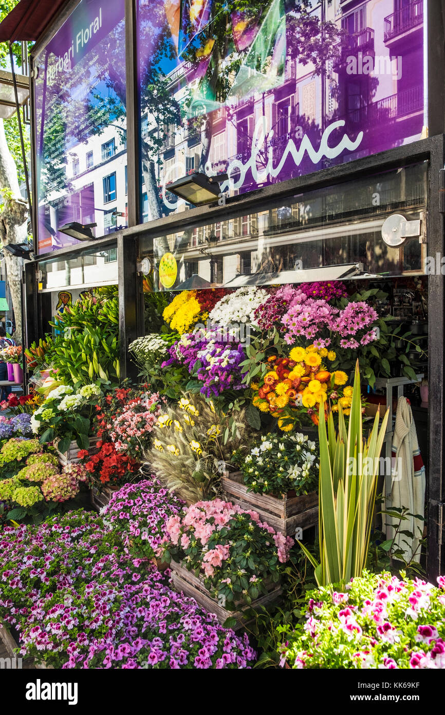 Barcelona, Spain May 1, 2016 flowers shop in Ramblas of Barcelona Stock Photo Alamy