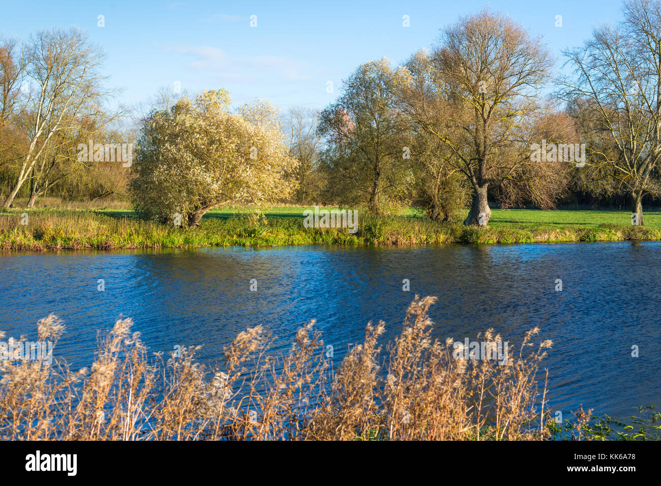 Hemingford Grey Meadow and the Great Ouse river, Cambridgeshire
