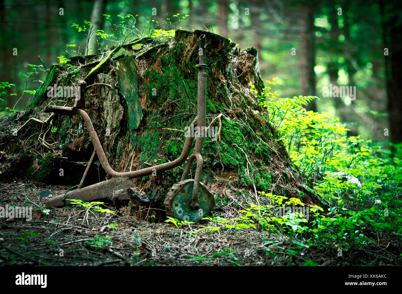 Old rusty tricycle in the forest.Bbroken bicycle. Stock Photo