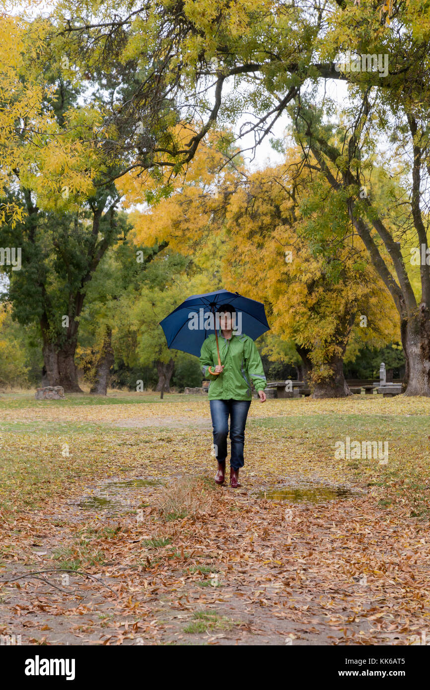 Umbrella Of Leaves Stock Photos &amp; Umbrella Of Leaves Stock
