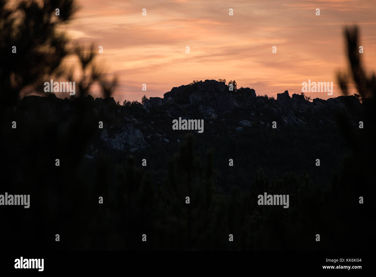 Views between the branches of a huge pine forest of the steep profile of Puerto Roque from the border of Spain and Portugal at dawn. Stock Photo
