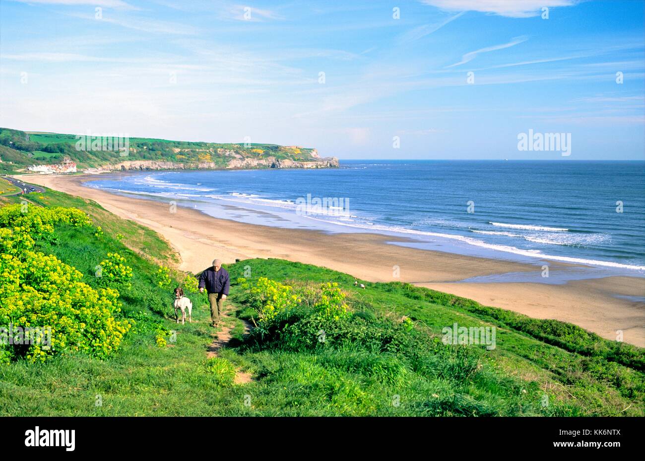 Man walking dog above Upgang Beach and Sandsend village. Two miles west of Whitby on North Sea coast in North Yorkshire, England Stock Photo