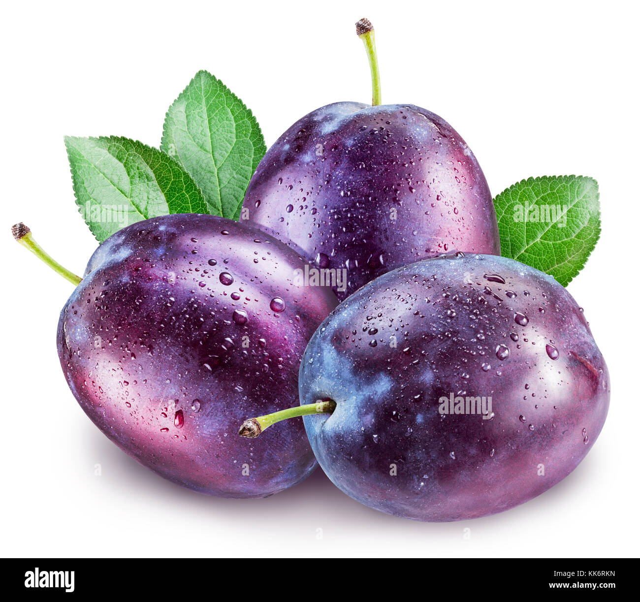 Plums with water drops. File contains clipping path. Stock Photo