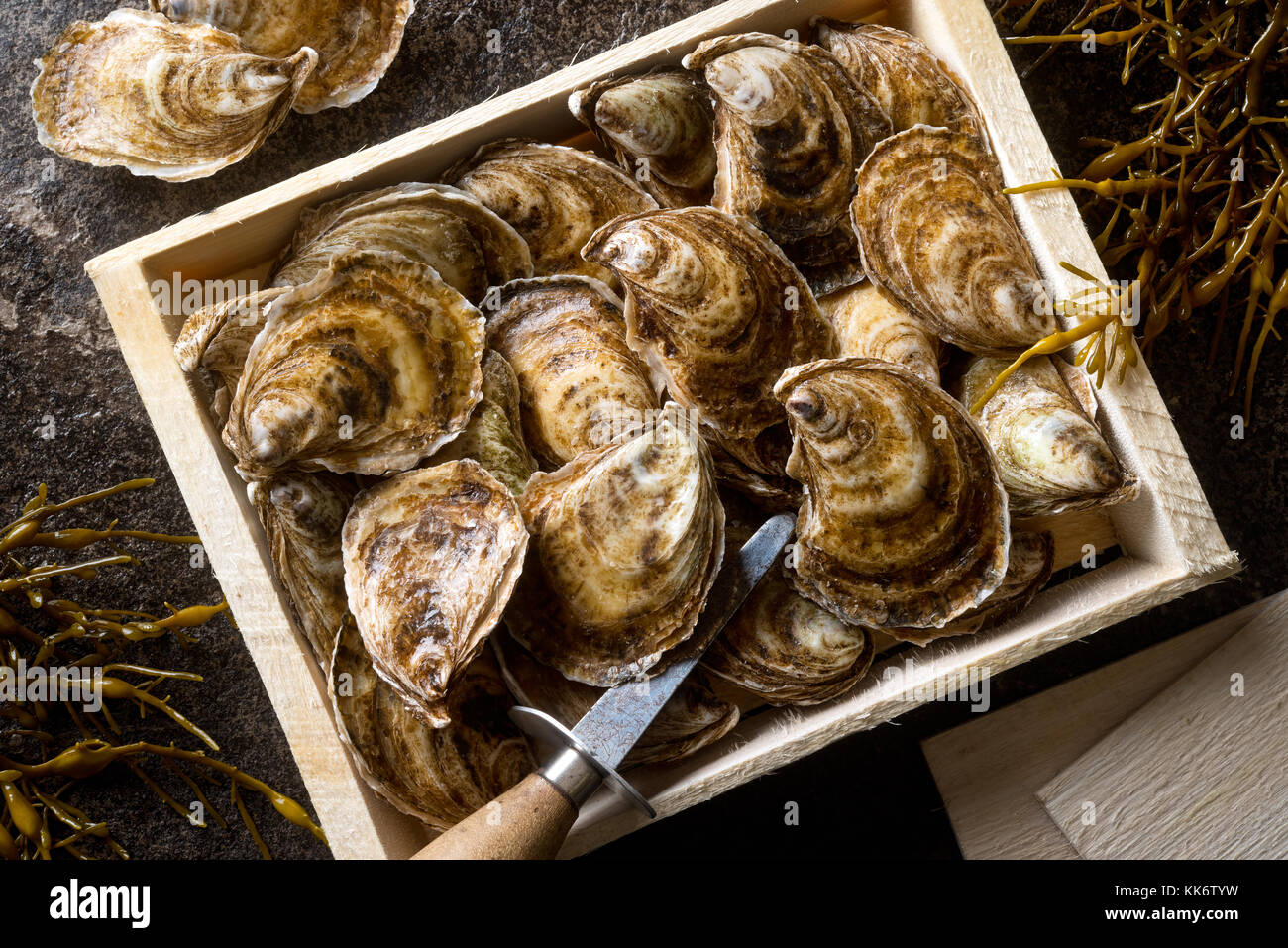 Delicious raw fresh oysters in wood packing crate with shucker and