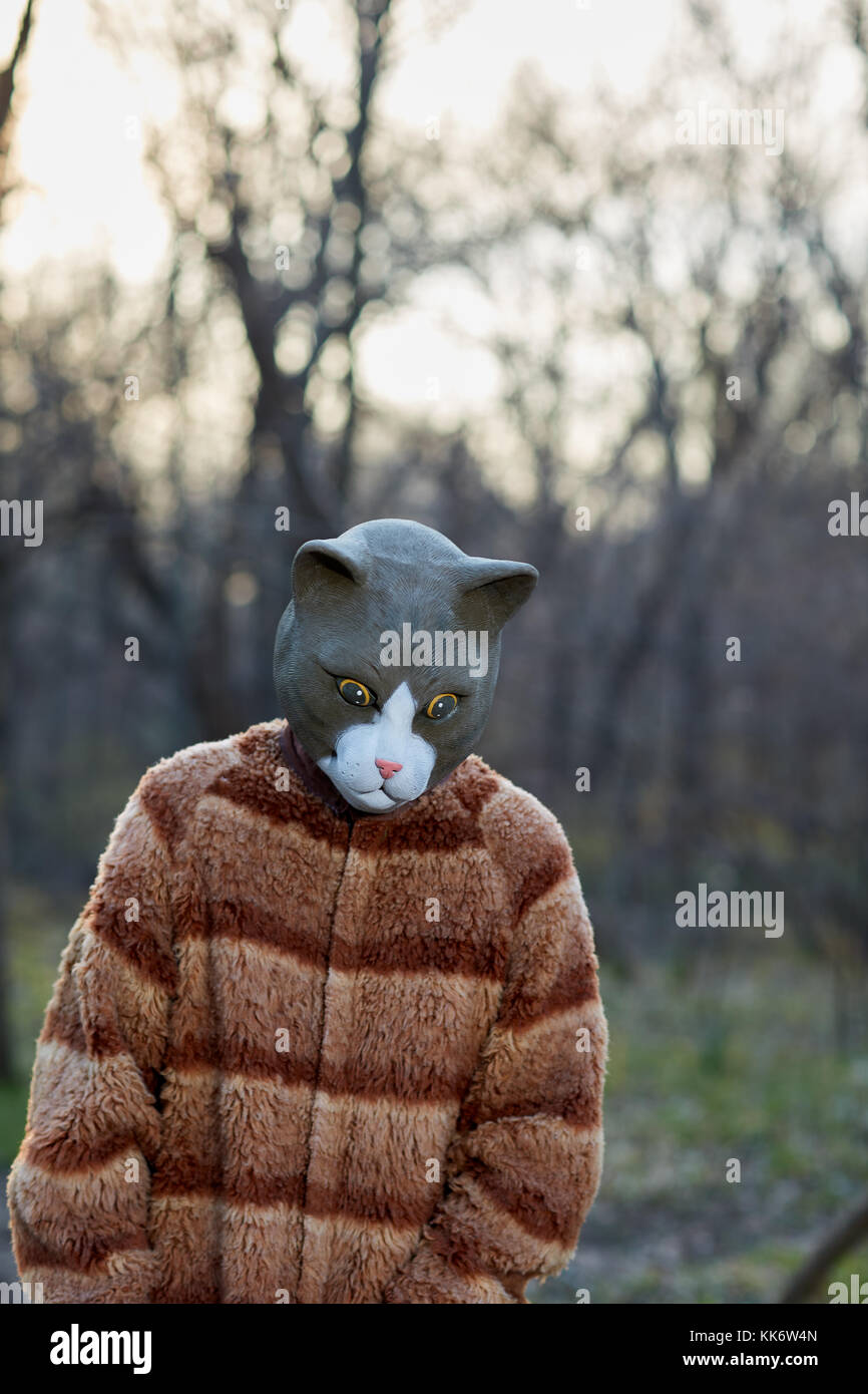 Cat outfits for humans cheap