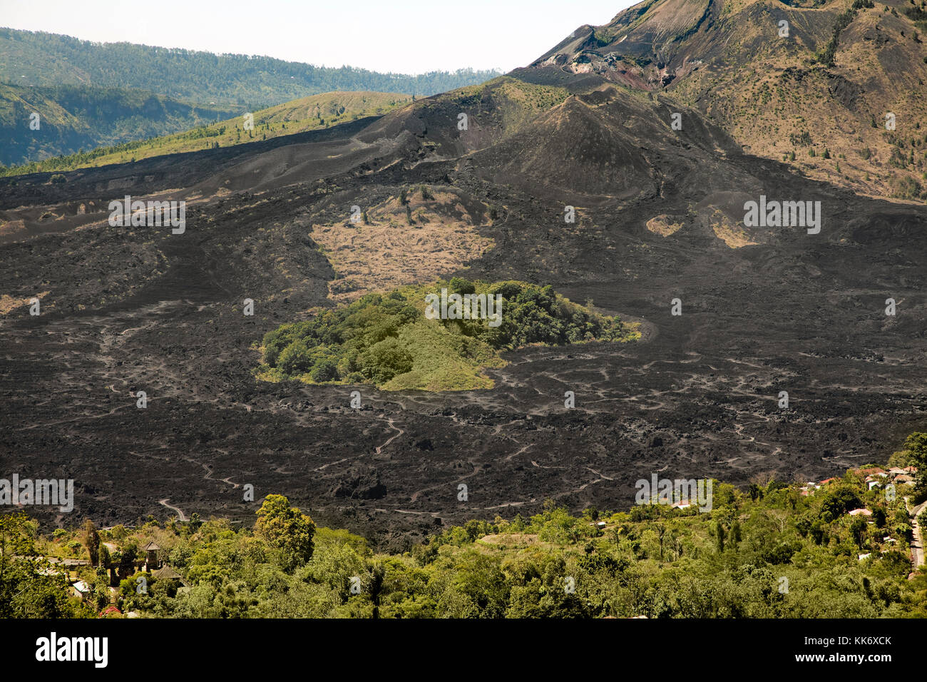 Burnt, charred vegetation left following volcano eruption, Bali, Indonesia Stock Photo