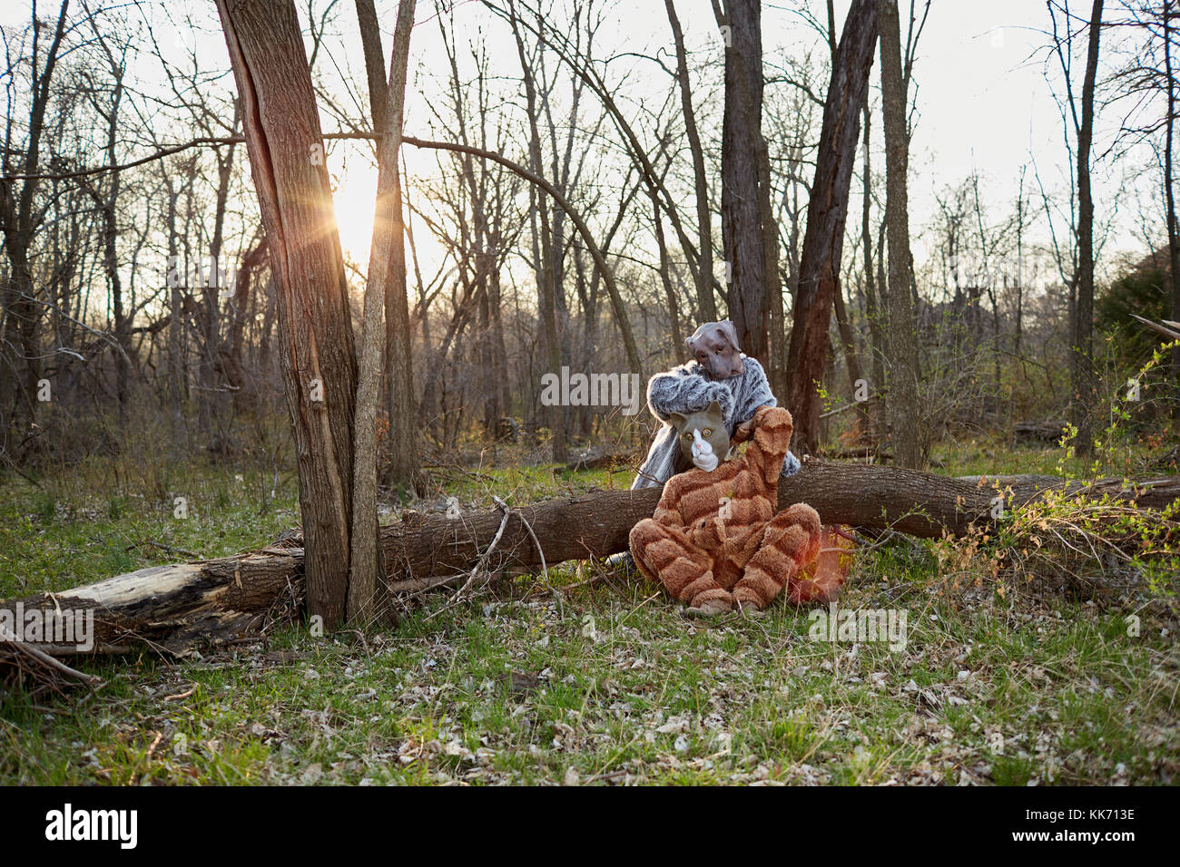 Man wearing cat costume with mask sitting with woman dressed up as dog