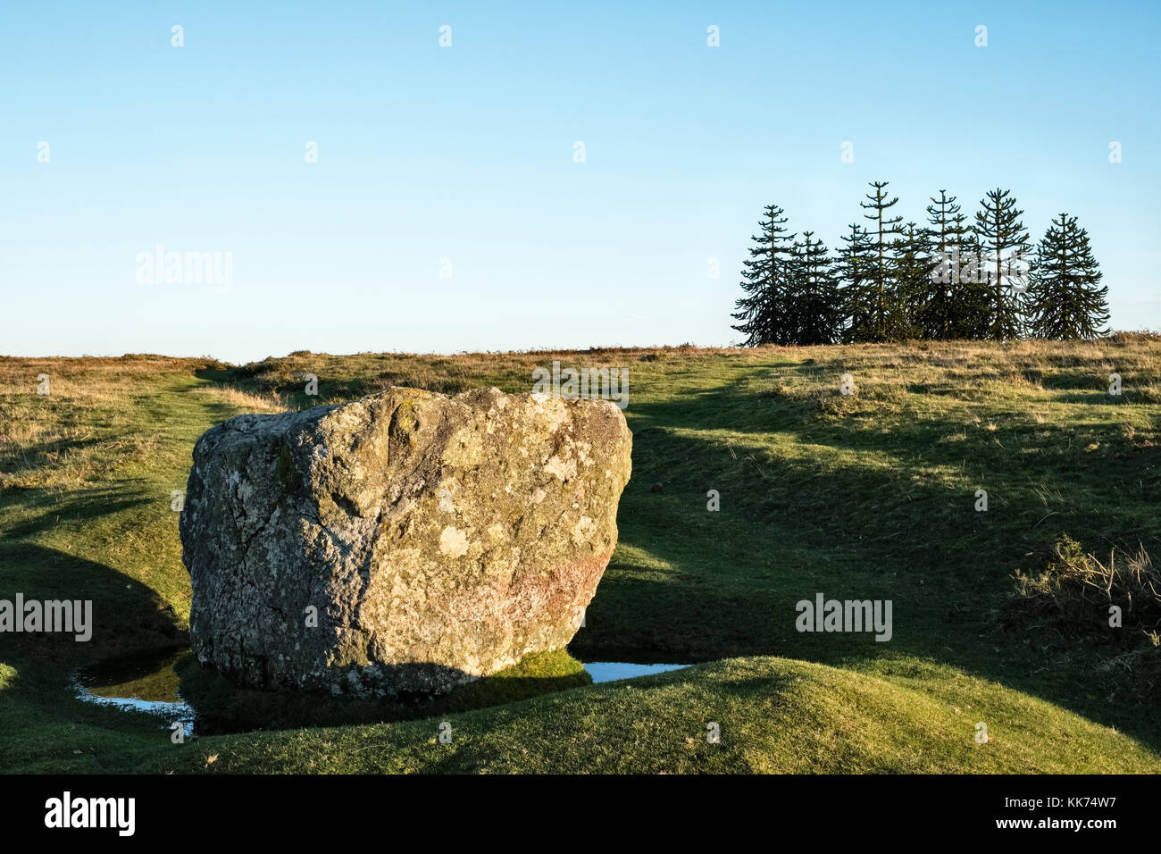 Hergest Ridge, Kington, Herefordshire, UK. The Whetstone (Wheat Stone) on the Offa's Dyke Path, a glacial erratic boulder and ancient boundary marker Stock Photo