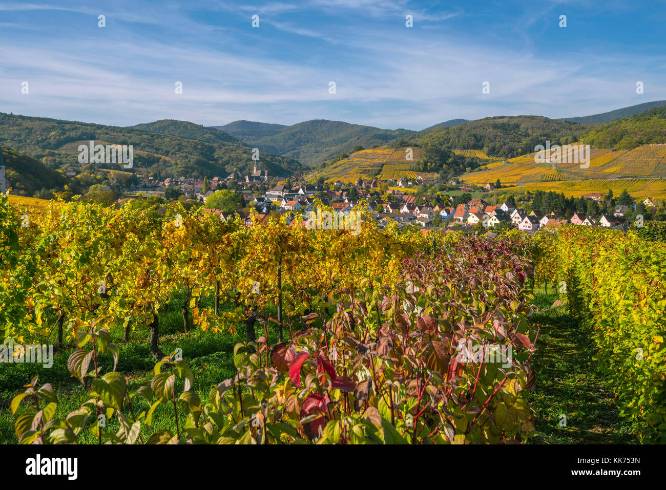 village Andlau and the surrounding vineyards in beautiful autumn colours, foothills of the Vosges Mountains, on the Wine Route of Alsace, France Stock Photo
