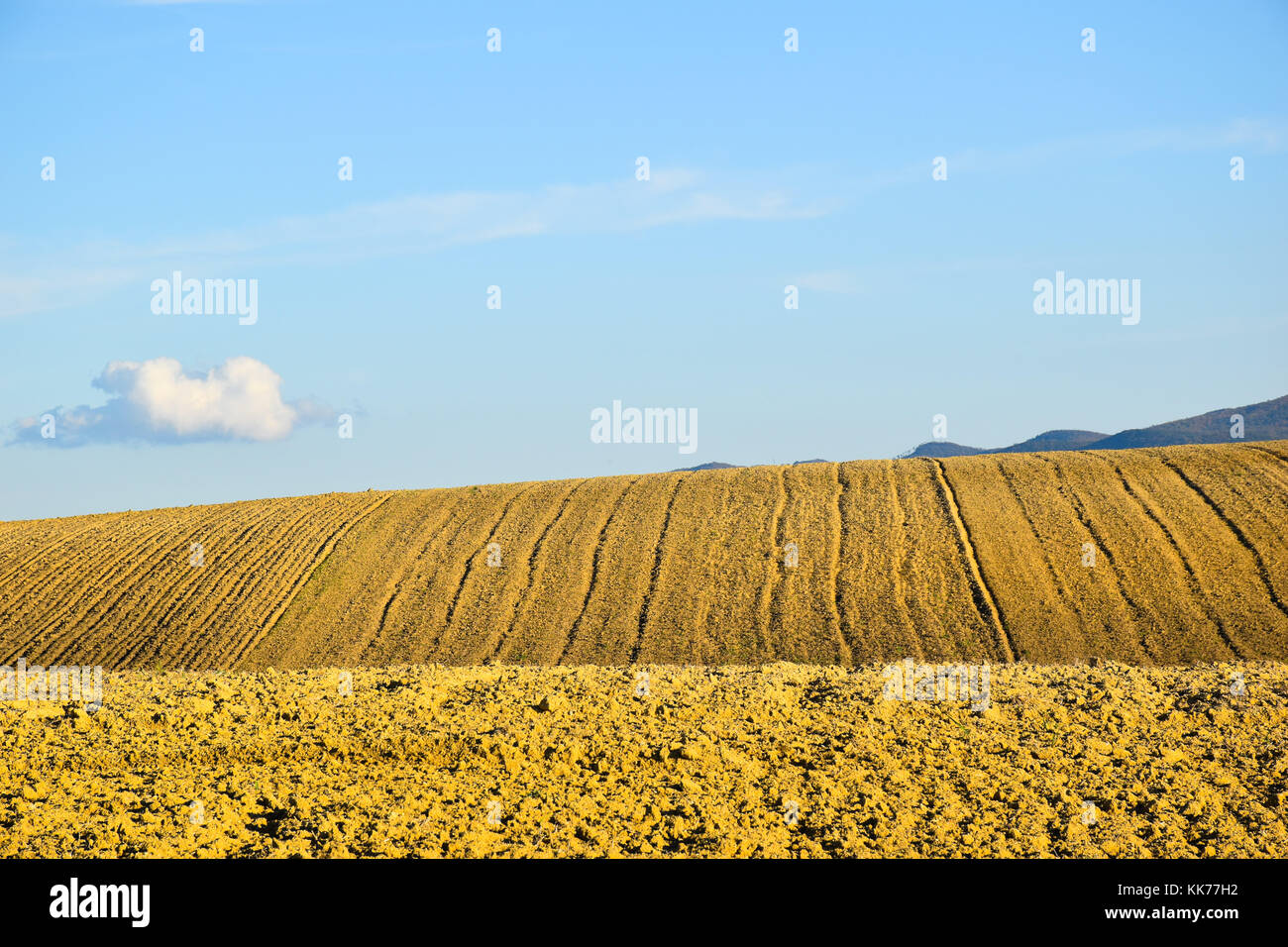 Yellow hill color Stock Photo