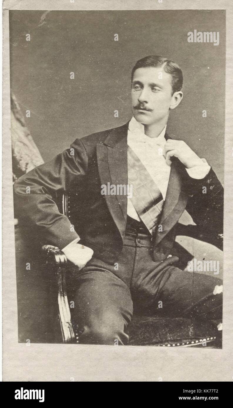 Napoléon Eugène Louis Bonaparte, Prince Impérial, by Alexander Bassano -  1878 Stock Photo - Alamy