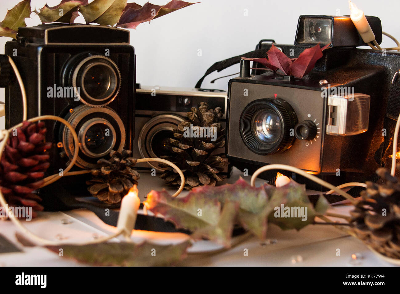 Old photo cameras in a winter spirit Stock Photo