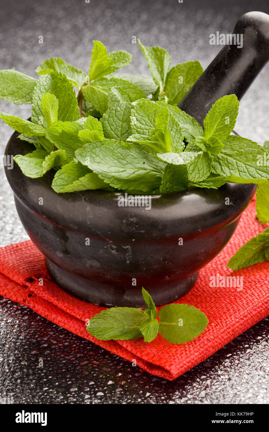 photo of fresh aromatic mint in mortar on a glass table Stock Photo - Alamy