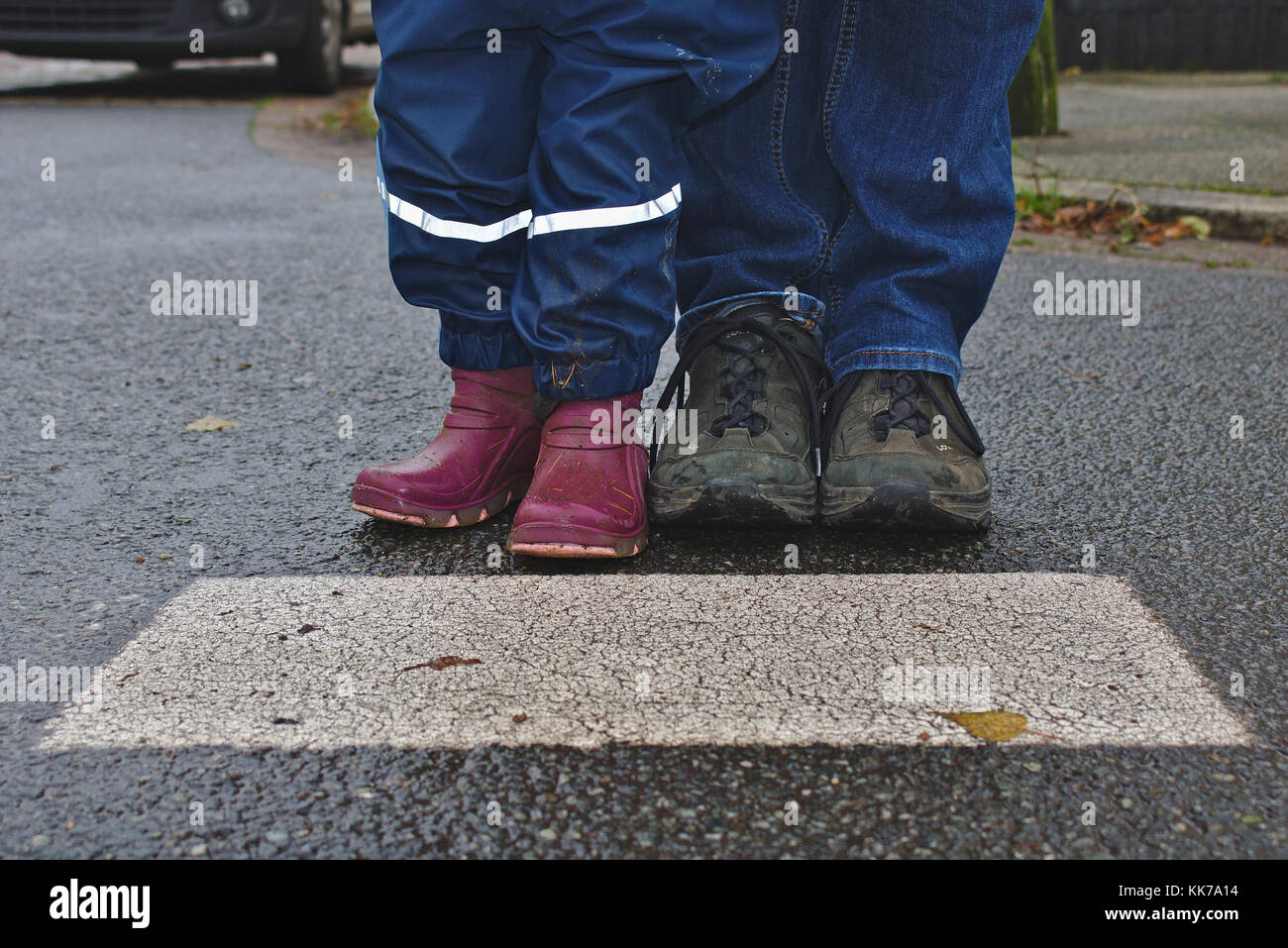 Parent wearing shoes and denim pants and child wearing rain pants and rubber boots are waiting together at the cross walk, shown from the knee down Stock Photo