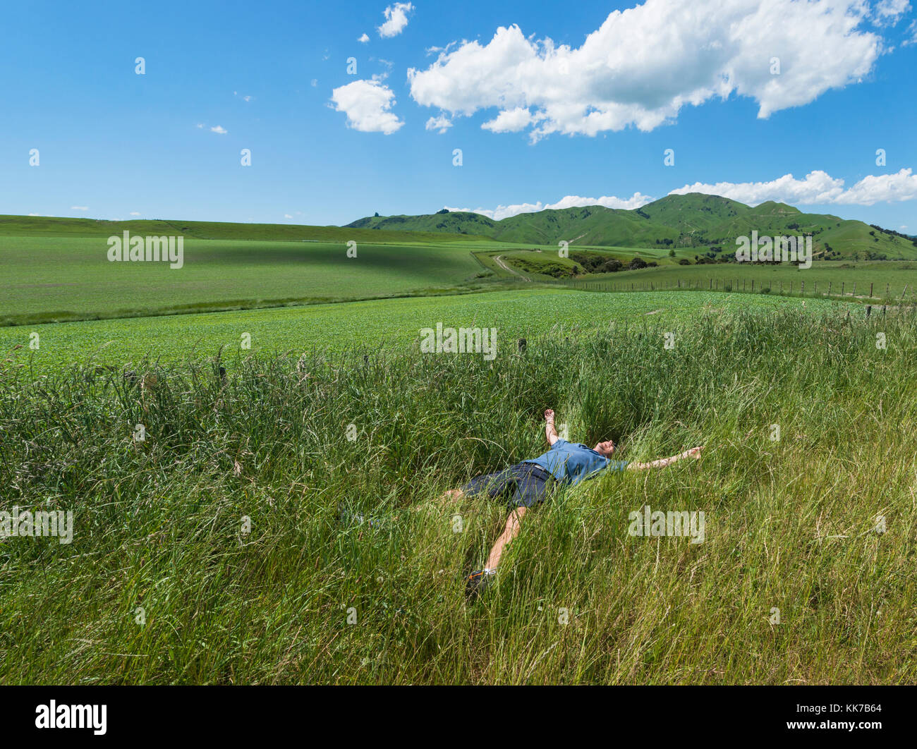 A man sprawled out in a sunny field of tall grass Stock Photo