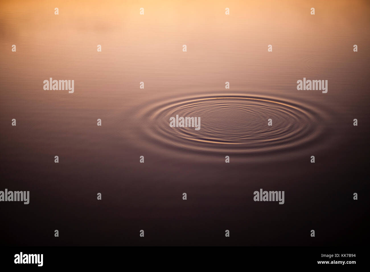 Sunrise with water ripples in still water Stock Photo - Alamy