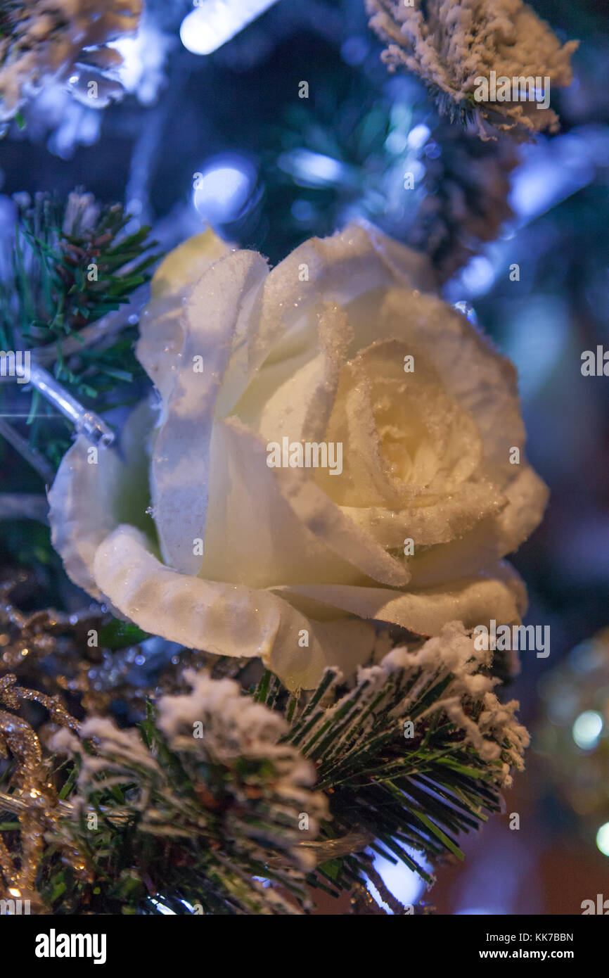 White rose Christmas tree decorations closeup Stock Photo Alamy